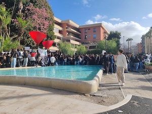Sorrento. Manifestazione di protesta degli studenti